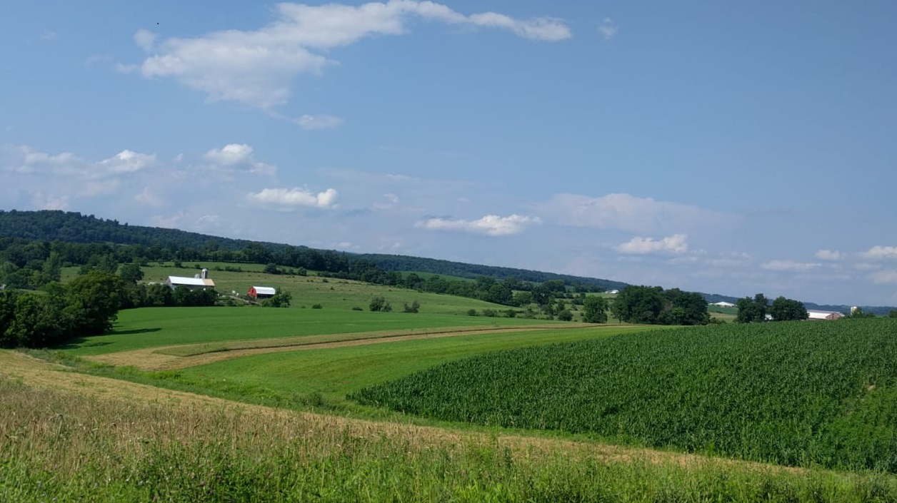 Regenerative Farming the Traditional Way