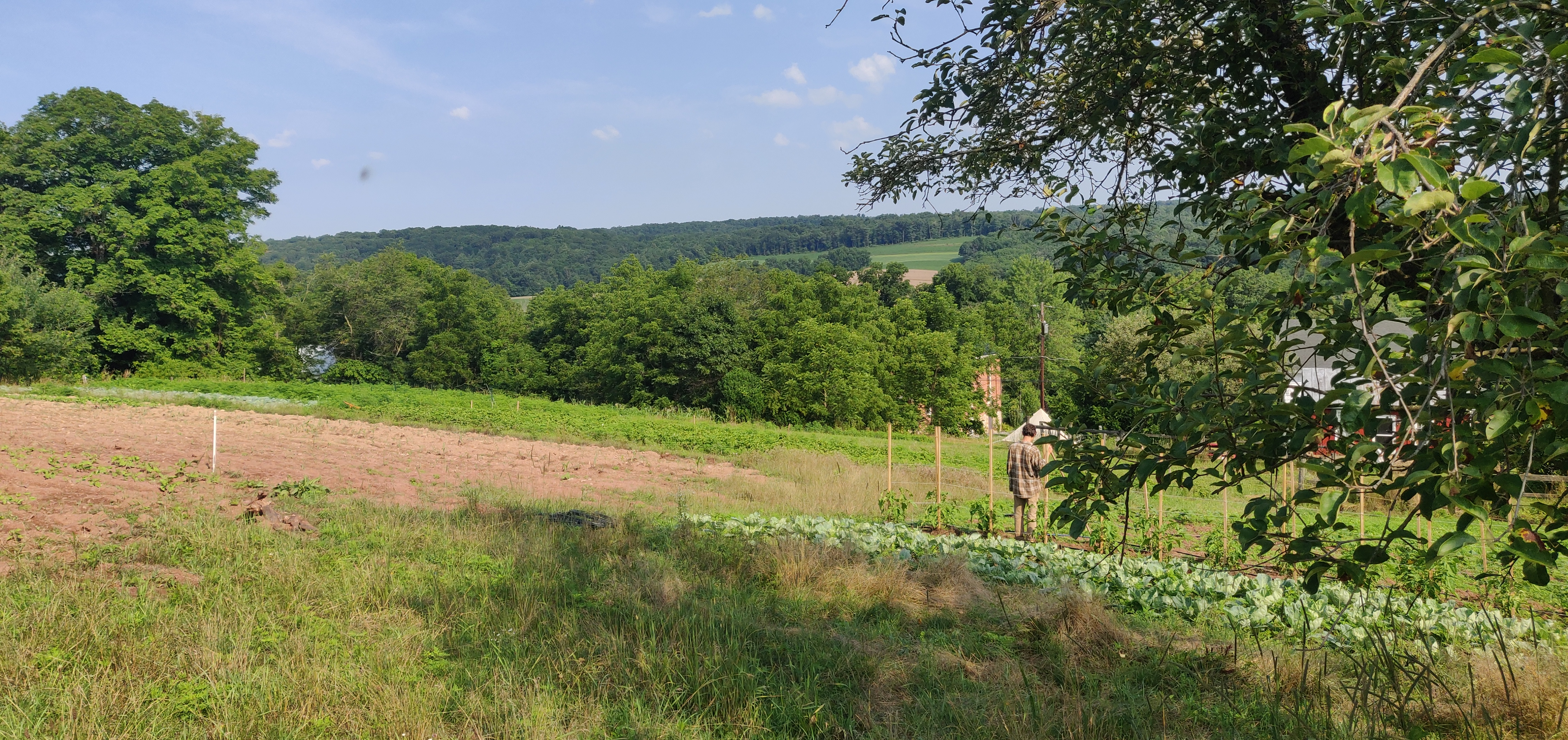 Our Farmland is also our Homestead. We are Stewards of the Soil