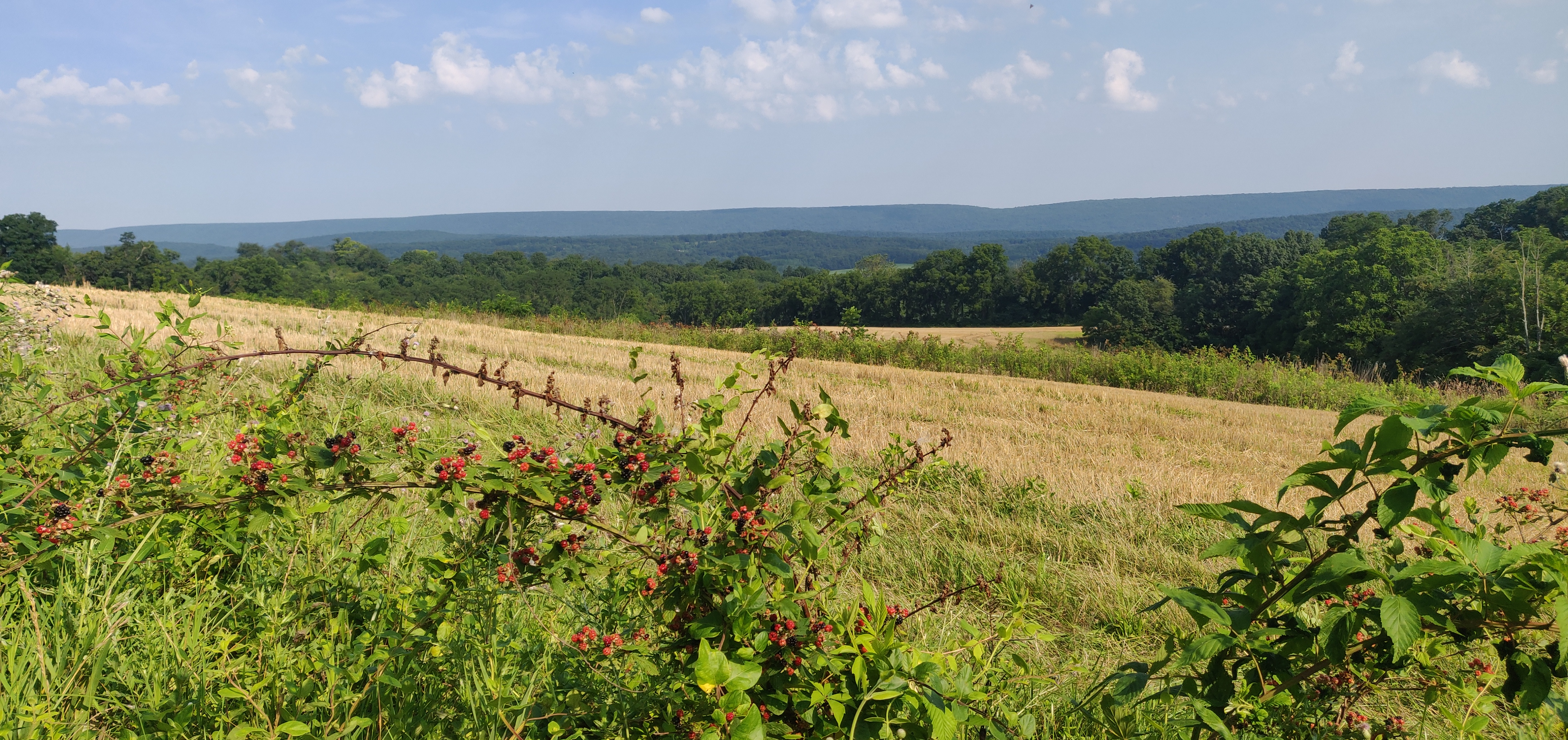 Wild and Biodiverse Surrounding Area