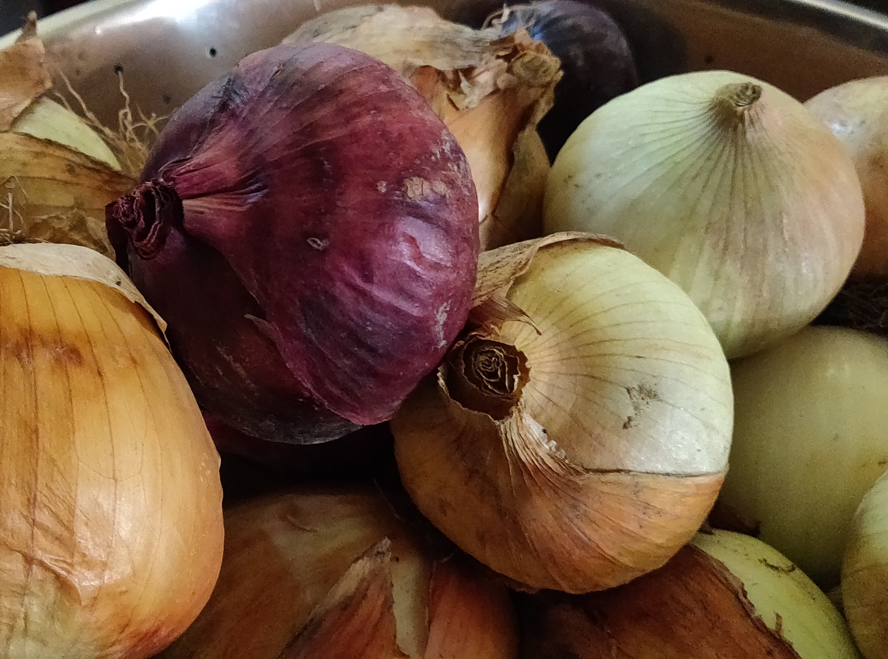 Onions: Chemical-free, A Great Source of Quercetin 