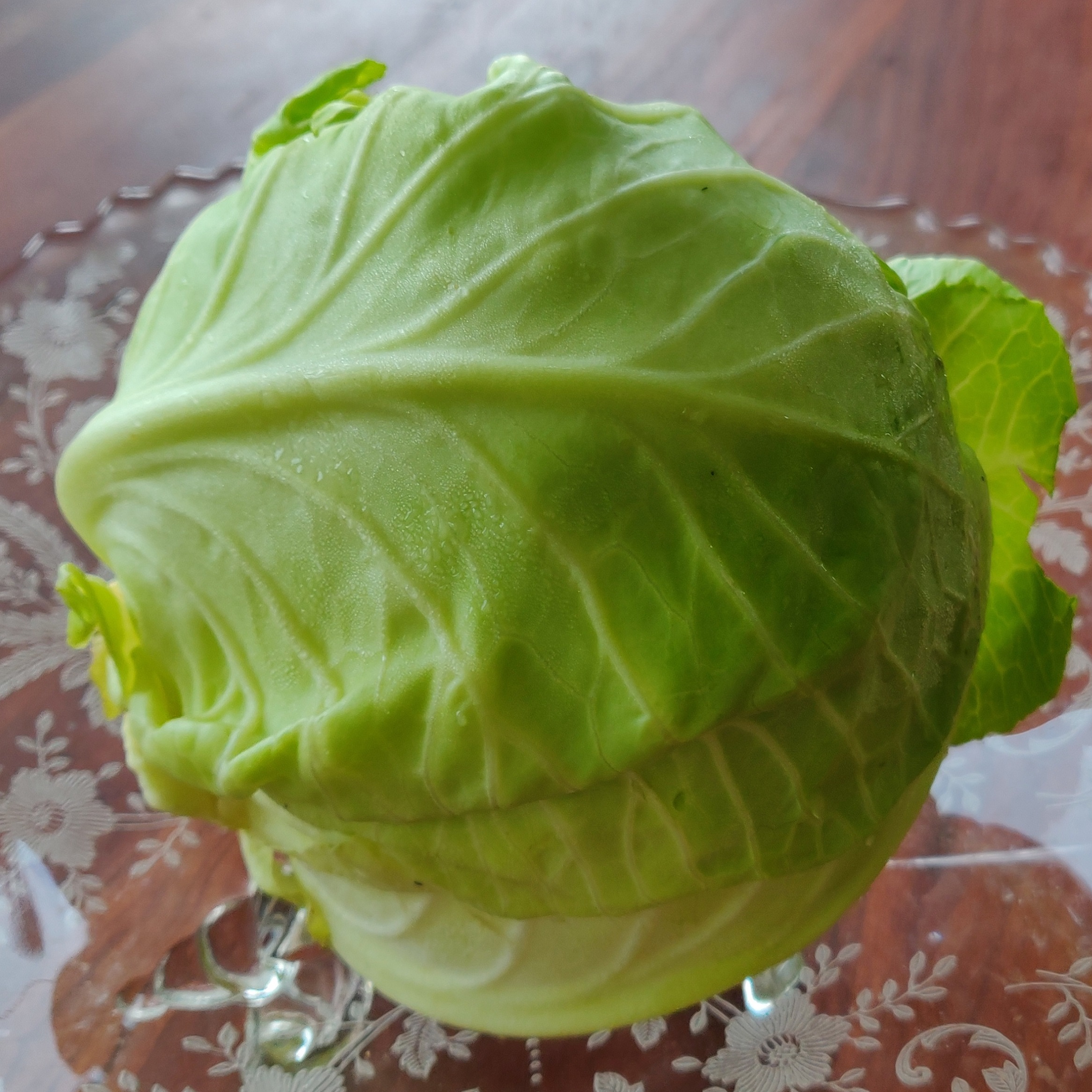 Green Cabbage: Chemical-free with Anticancer Compounds -