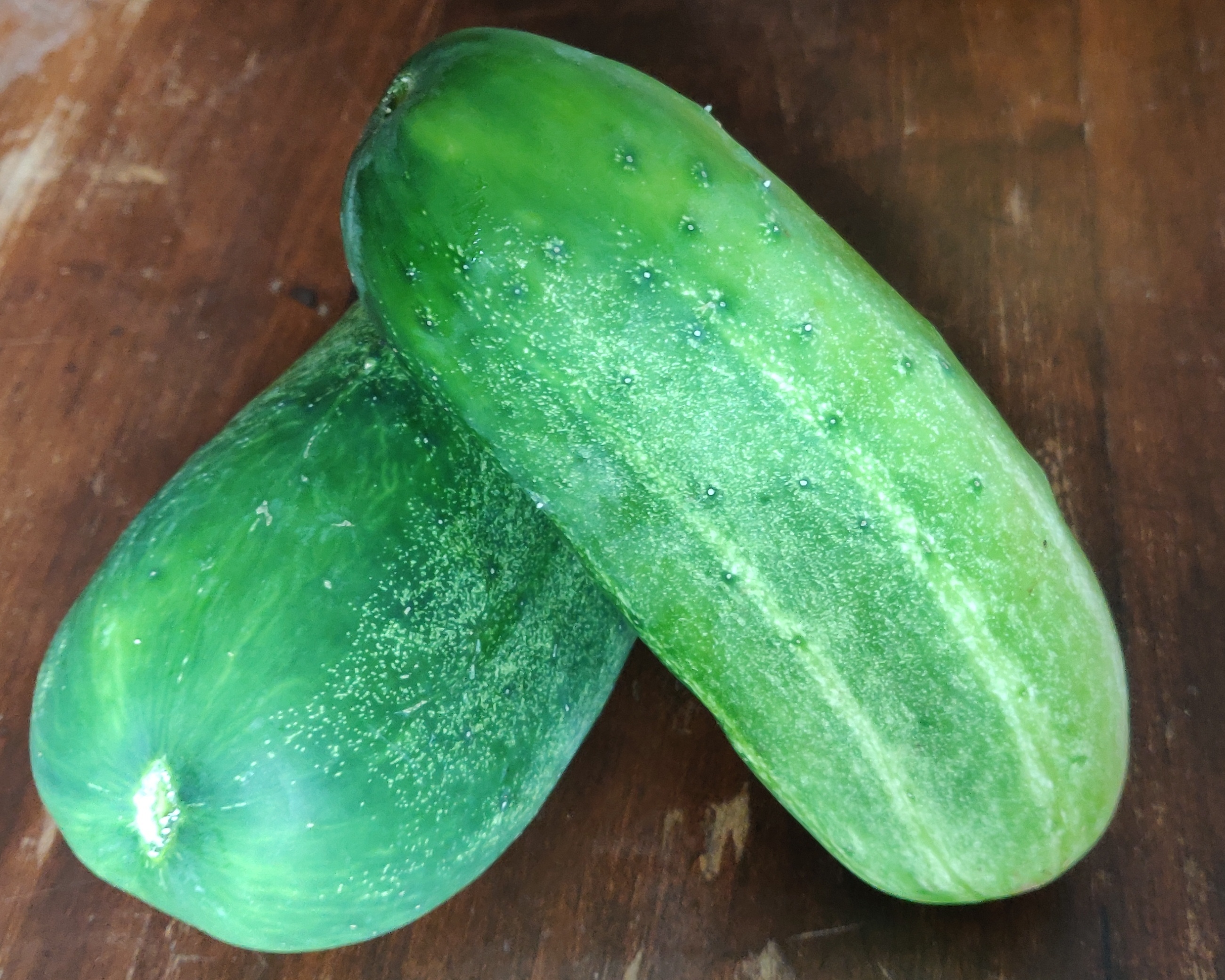 Cucumbers: Chemical-free Summer Favorite, Excellent for Pickling